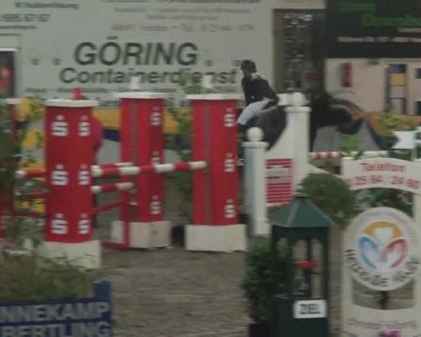Reitturnier Vreden 2013