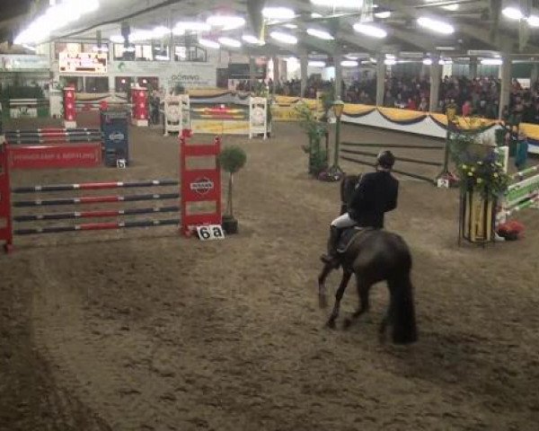 Reitturnier Vreden 2013