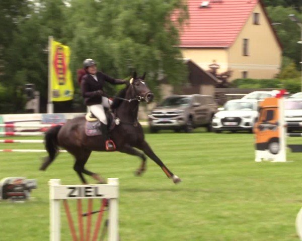 Reitturnier Burgstädt 2024