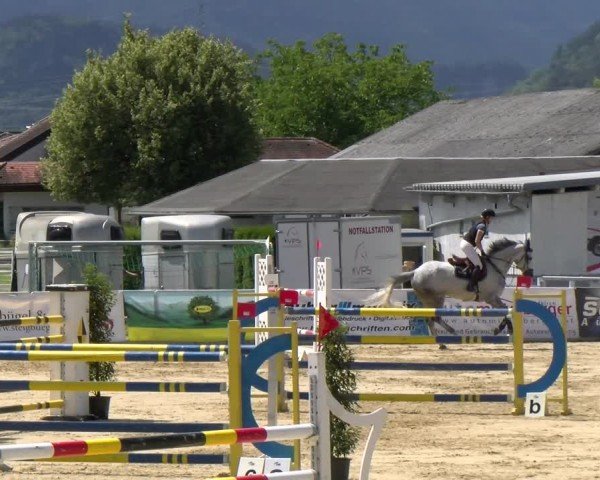 Reitturnier Rankweil 2024