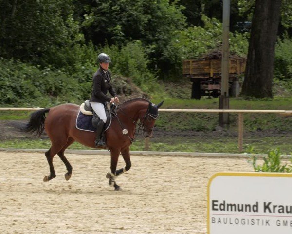 Reitturnier Heddesheim 2024
