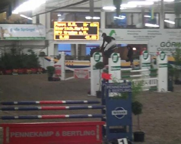 Reitturnier Vreden 2013