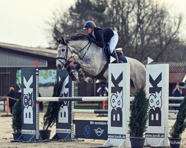 jumper Malea Classica K (Holsteiner, 2018, from Manchester van't Paradijs)