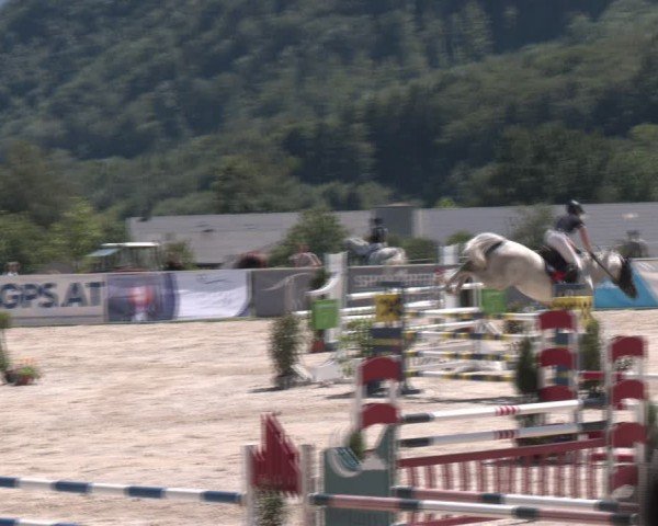 Springturnier Seewalchen 2024