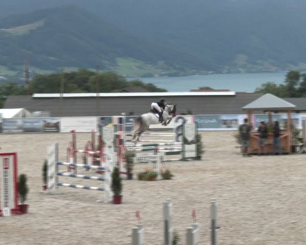 Springturnier Seewalchen 2024