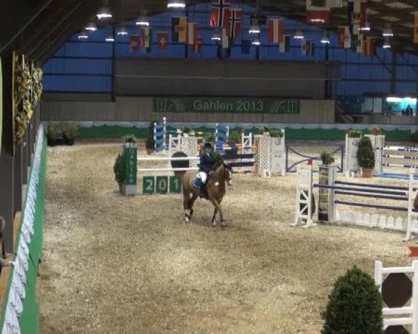 Hallenturnier Gahlen 04.-06.01.2013