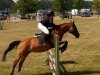 broodmare Curana (German Sport Horse, 2007, from Capriol)