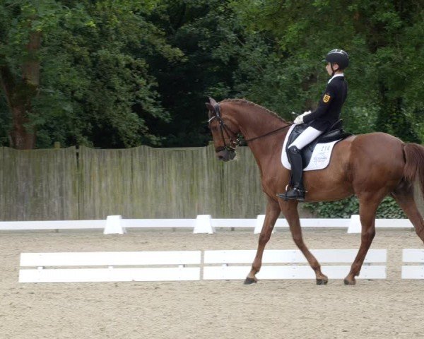 Reitturnier Heddesheim 2024