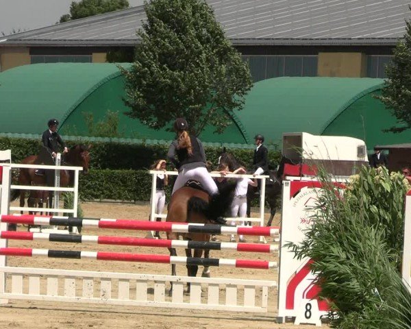 Reitturnier Neustadt/Dosse 2024