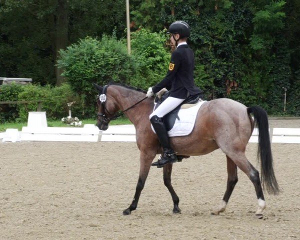Reitturnier Heddesheim 2024