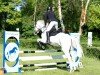 jumper Cinus (German Sport Horse, 2009, from Ciro Z)