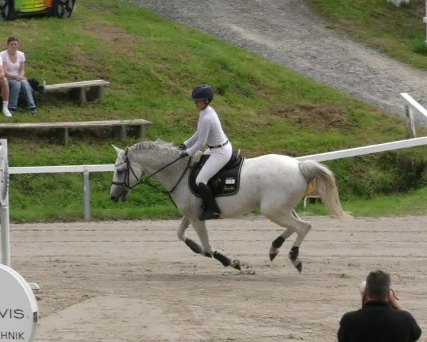 Reitturnier Adelebsen 2024
