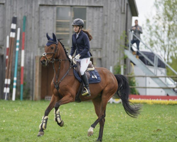 Springpferd Lilu 7 (Deutsches Sportpferd, 2011, von Colestus)