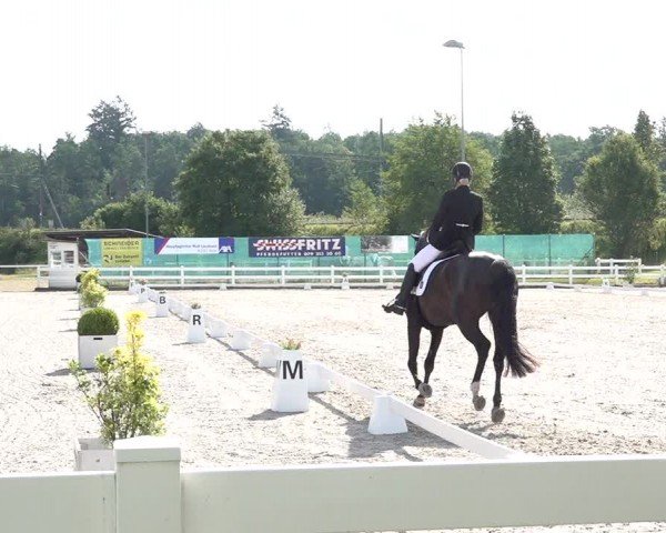 Reitturnier Hüntwangen 2024