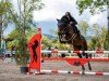 jumper Cadora 6 (German Sport Horse, 2016, from Cador 5)