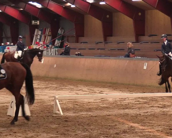 Reitturnier Behrendorf 2021