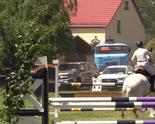 Reitturnier Burgstädt 2024