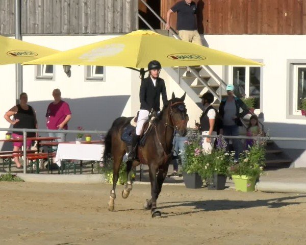 Reitturnier Rankweil 2024