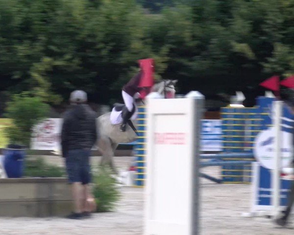 Reitturnier Balsthal 2024