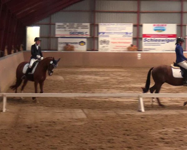 Reitturnier Behrendorf 2021