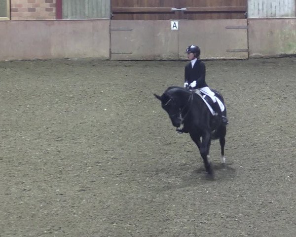 Reitturnier Herzebrock-Rheda 2021