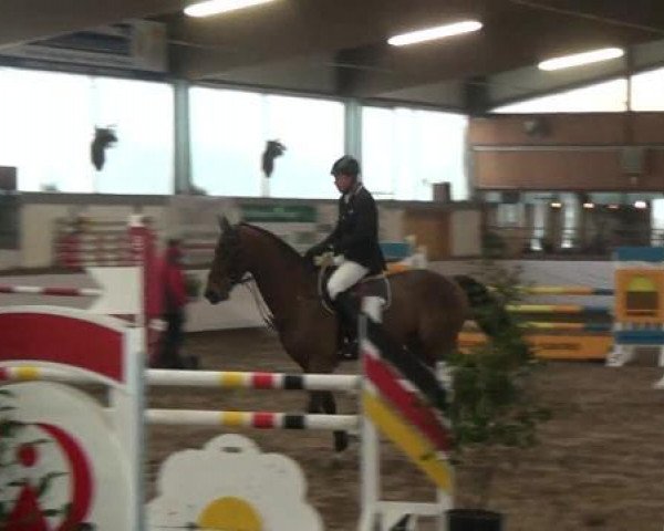 Reitturnier Südlohn-Oeding 2013