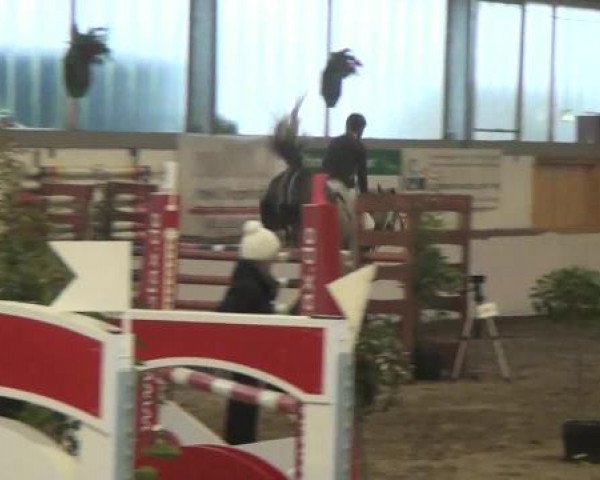 Reitturnier Südlohn-Oeding 2013