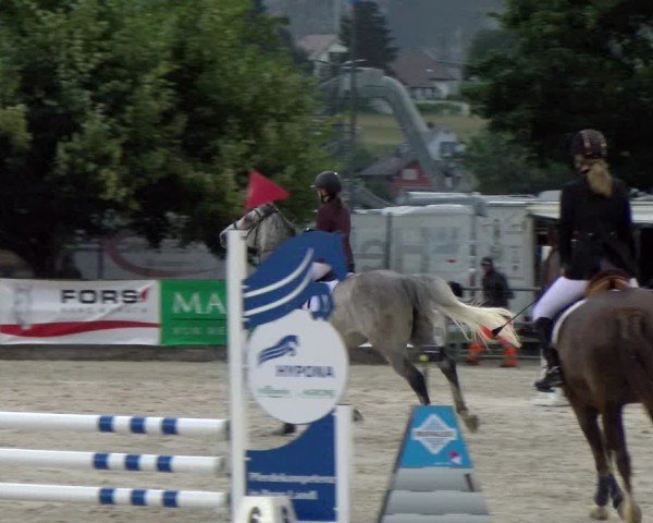 Reitturnier Balsthal 2024