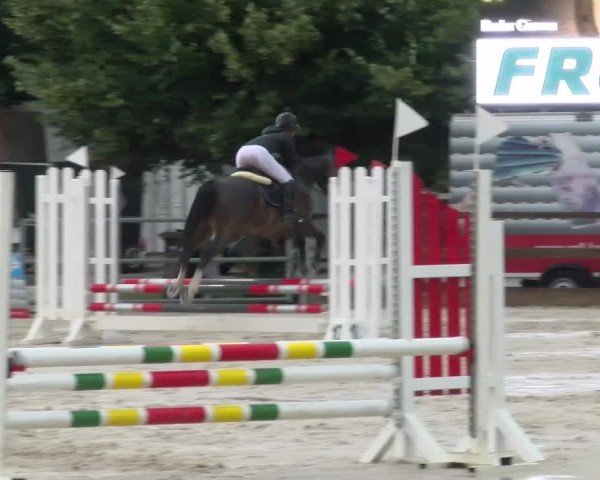 Reitturnier Balsthal 2024