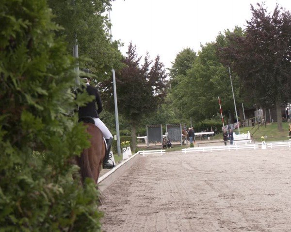 Reitturnier Fröndenberg 2024