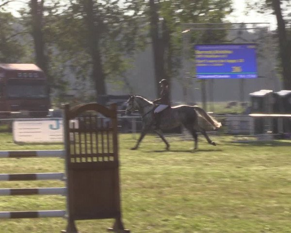 Reitturnier Großwoltersdorf 2021