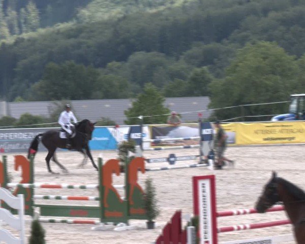 Springturnier Seewalchen 2024