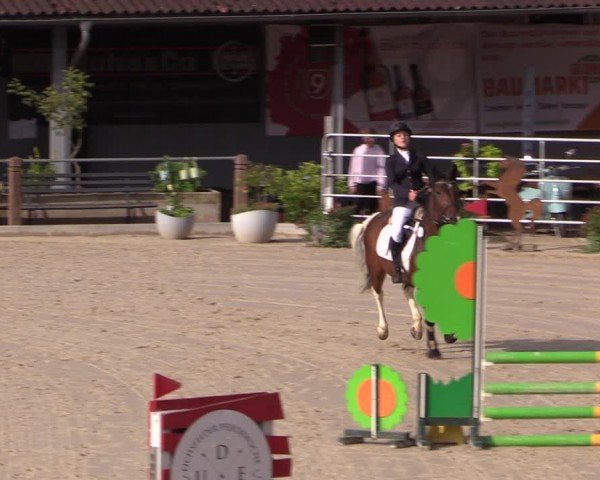 Reitturnier Uder, Reitanlage Kobold 2024