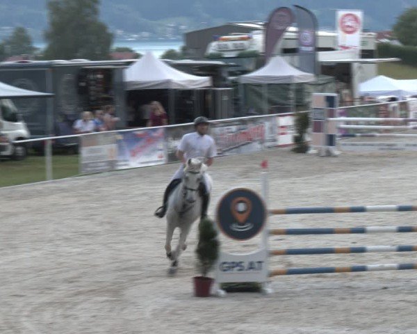 Springturnier Seewalchen 2024