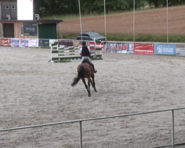 Springturnier Seewalchen 2024