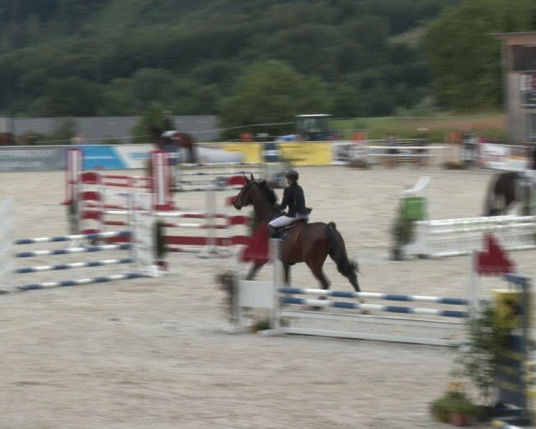 Springturnier Seewalchen 2024