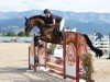 Springpferd Sorento van de Watering (Belgisches Warmblut, 2018, von Marko van Spieveld)