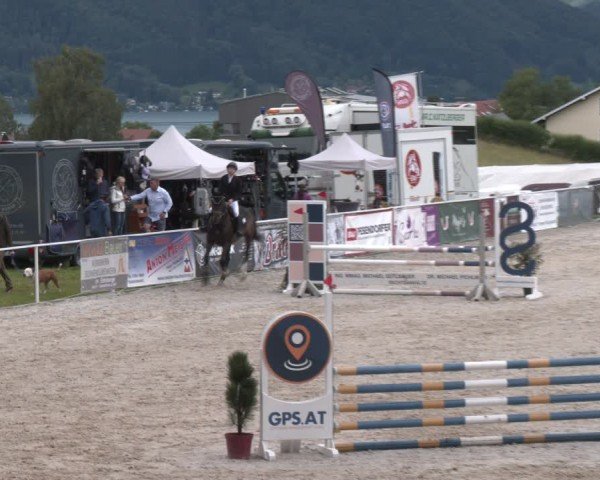 Springturnier Seewalchen 2024