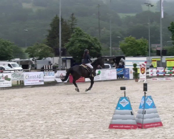 Reitturnier Balsthal 2024