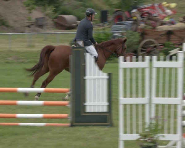 Reitturnier Ihleburg 2024