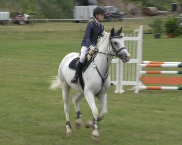 Reitturnier Ihleburg 2024