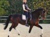 broodmare Alexia 25 (KWPN (Royal Dutch Sporthorse), 2005, from Oo-Seven)