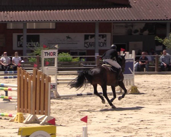 Reitturnier Uder, Reitanlage Kobold 2024