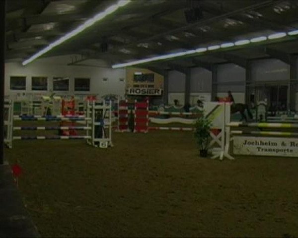 PLS Arnsberg-Vosswinkel 2013