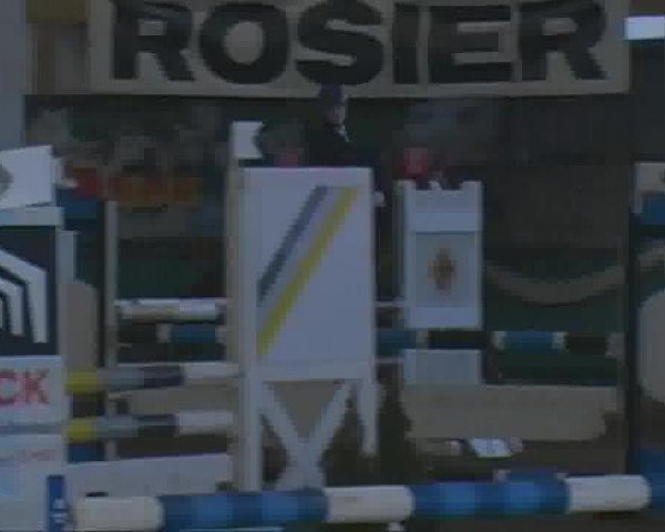 PLS Arnsberg-Vosswinkel 2013
