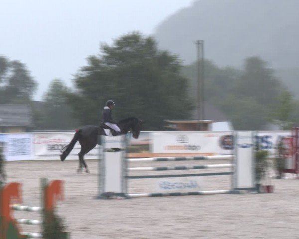 Springturnier Seewalchen 2024