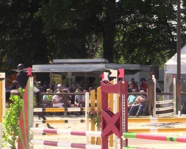 Reitturnier Görlsdorf 2024