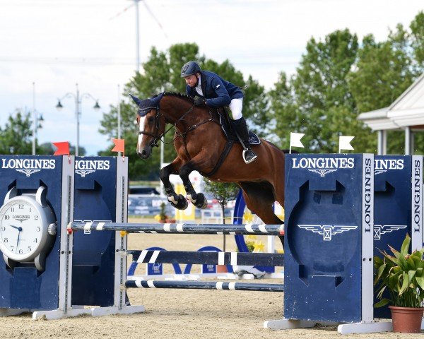 Springpferd Ballerina von Oberweiden (Österreichisches Warmblut, 2017, von Dominator 2000 Z)