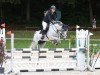 jumper Carrera AP (Austrian Warmblood, 2016)