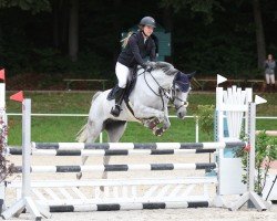 jumper Carrera AP (Austrian Warmblood, 2016)